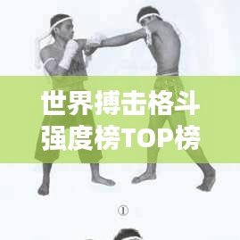 世界搏击格斗强度榜TOP榜，探寻最强格斗方式的荣耀战场