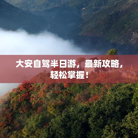 2025年6月30日