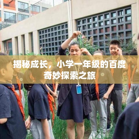 揭秘成长，小学一年级的百度奇妙探索之旅