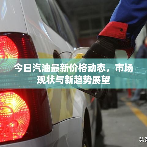 今日汽油最新价格动态，市场现状与新趋势展望