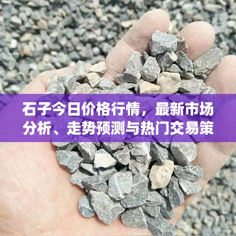 石子今日价格行情，最新市场分析、走势预测与热门交易策略