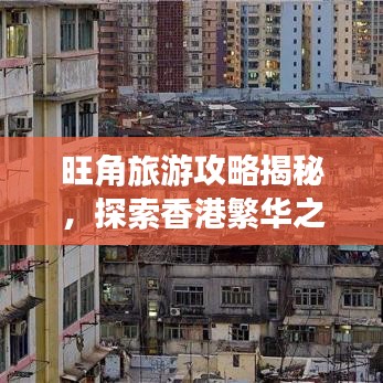 2025年6月30日 第5页