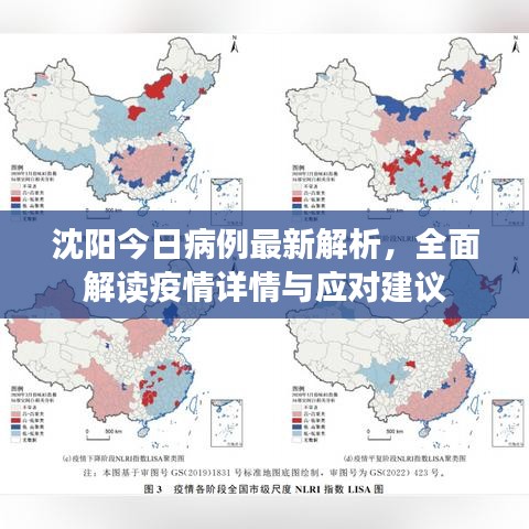 沈阳今日病例最新解析，全面解读疫情详情与应对建议
