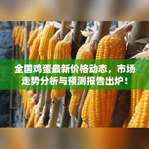 全国鸡蛋最新价格动态，市场走势分析与预测报告出炉！